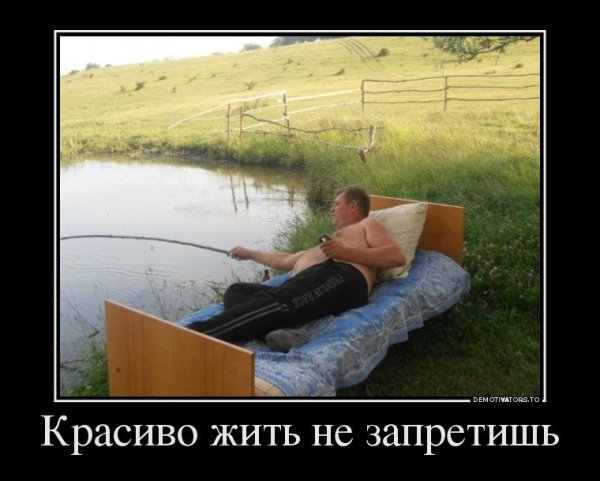 Красиво жить не запретишь приколы
