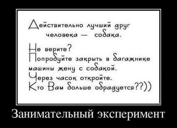 Демотиваторы шутки приколы анекдоты