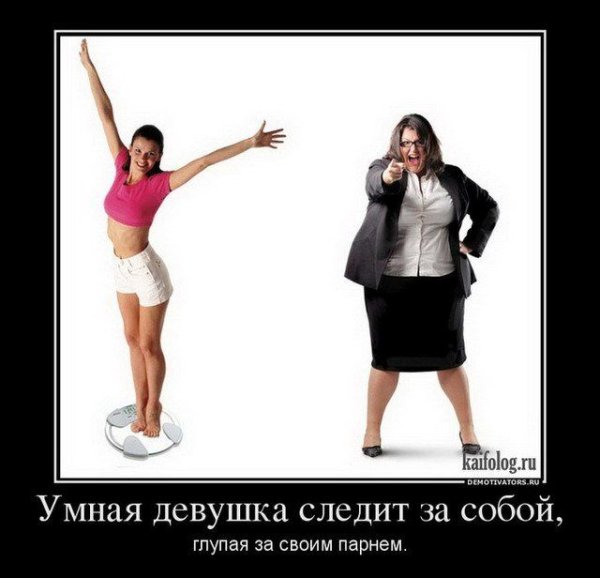 Демотиваторы про дошик