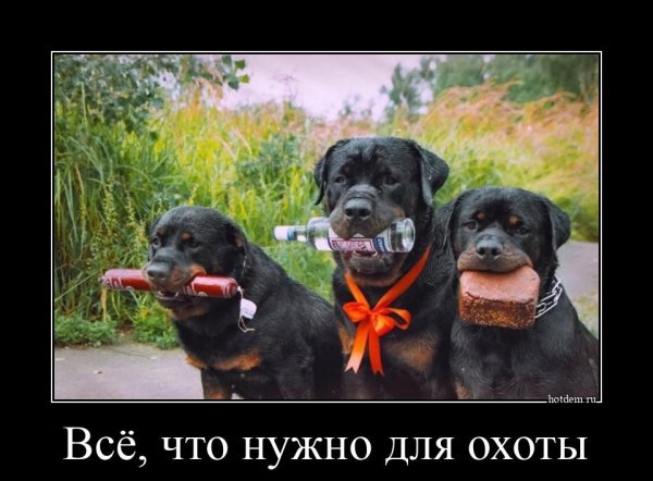 Демотиваторы о дне рождения