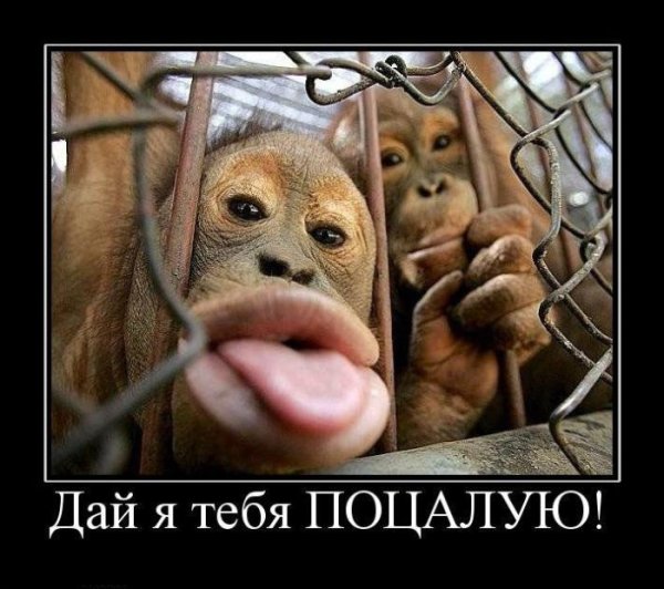 День рождения демотиваторы смешные