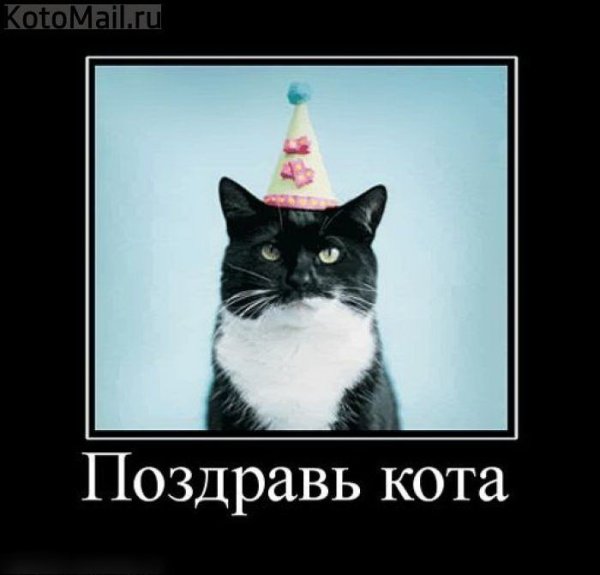 Открытка с днем рождения говно