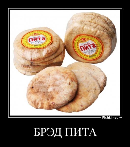 Fishki.net демотиваторы