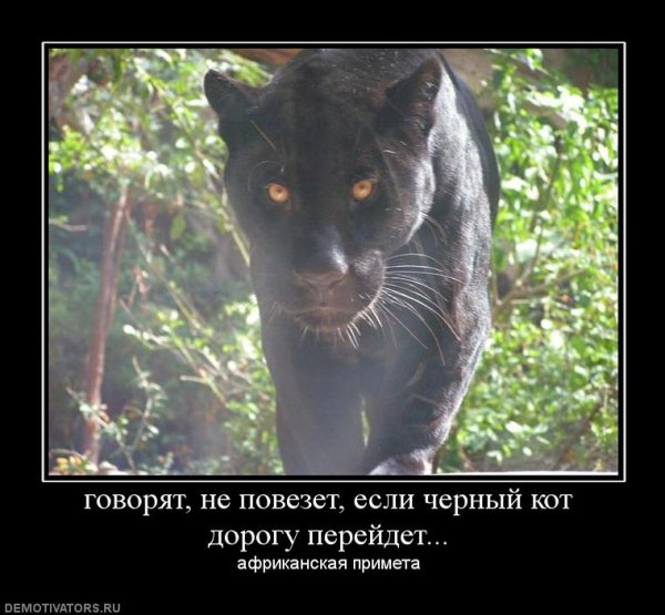 Коза демотиватор