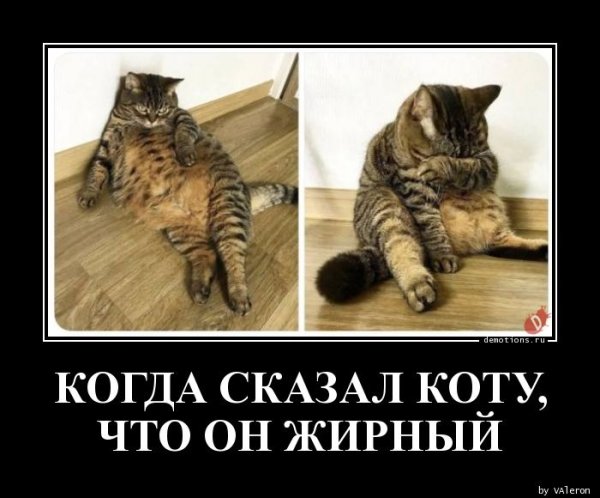 Смешные демотиваторы до слез