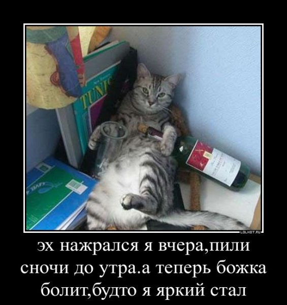 Веселые демотиваторы с животными