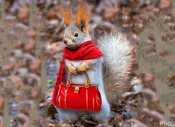 Осень не повод грустить