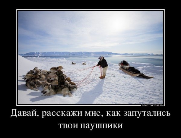 Демотиваторы с тонким юмором