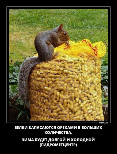 Демотиваторы позитивные смешные