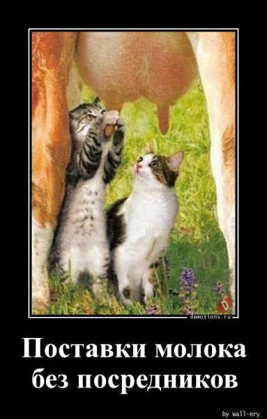 Демотиваторы позитивные смешные