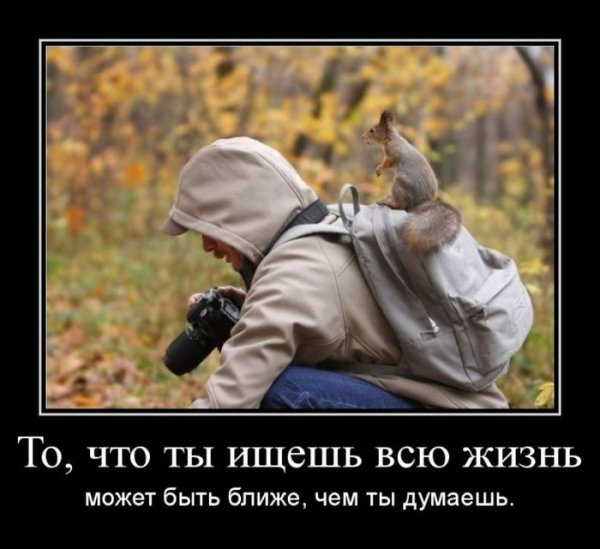 Прикольный мотиватор