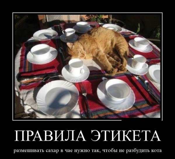 Шутки про этикет