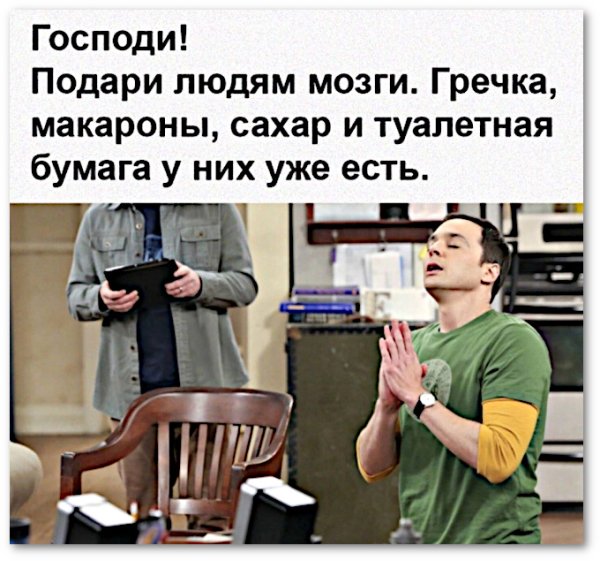Смешные высказывания про карантин