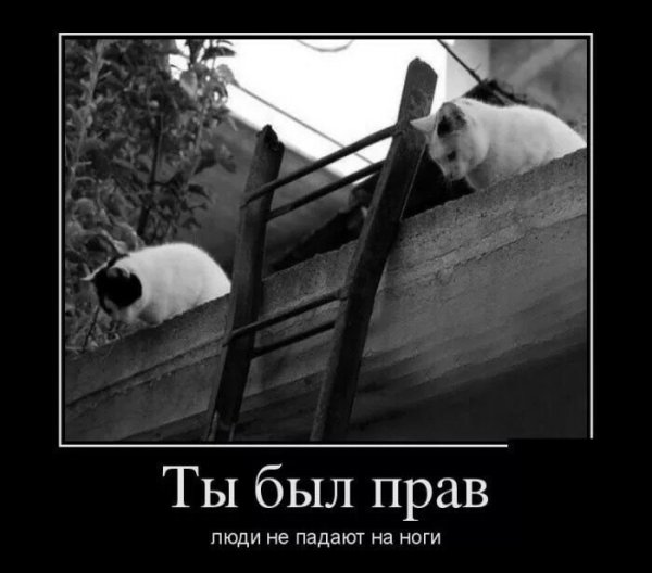 Демотиватор заготовка