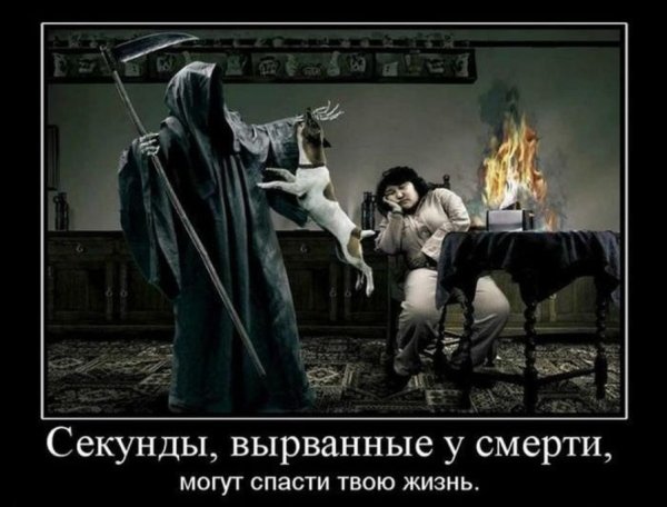 Демотиваторы карикатуры