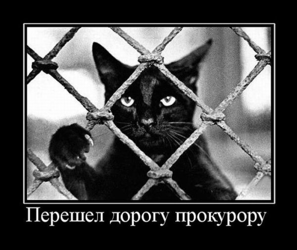 Демотиваторы черный юмор