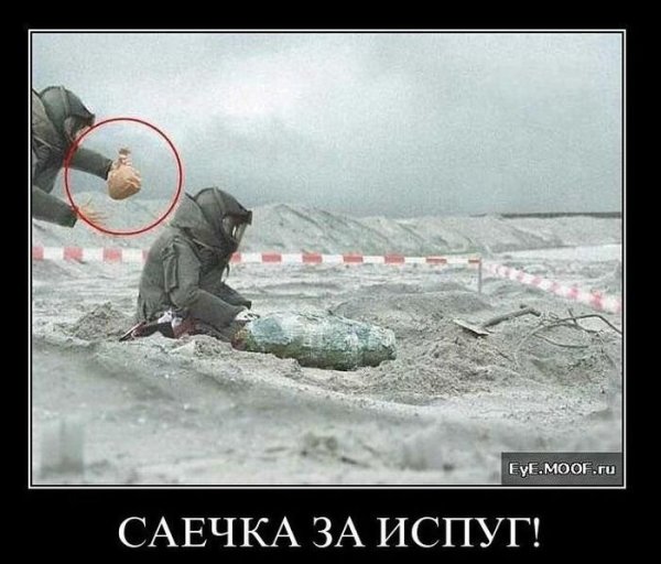 Демотиваторы про конфеты