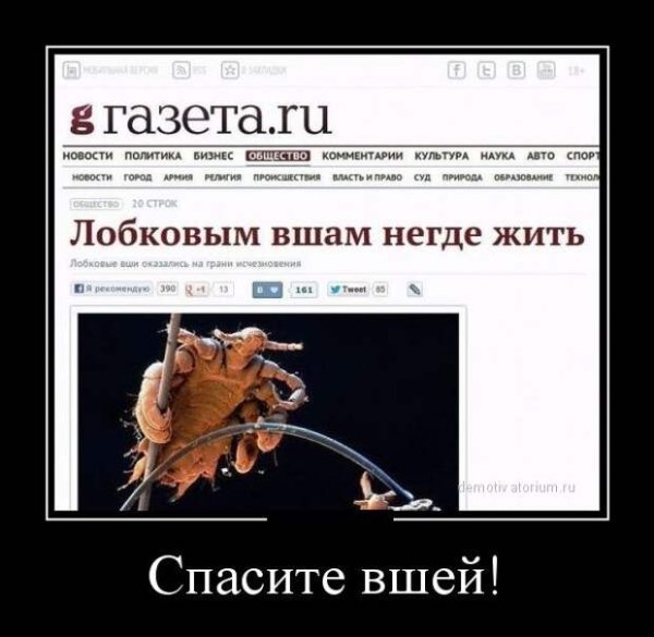 Болеть в праздники демотиваторы