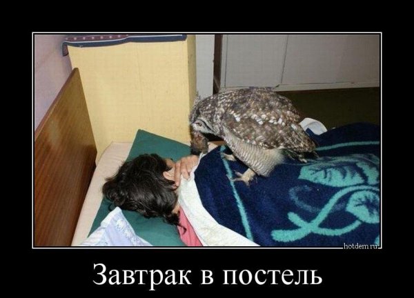 Приколы про Федю