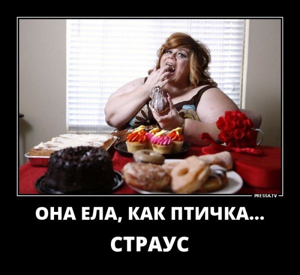 Мастерство не пропьешь поговорка