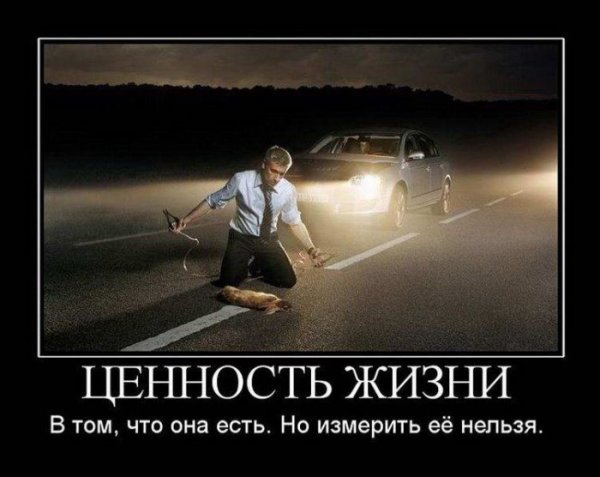 Демотиваторы со смыслом