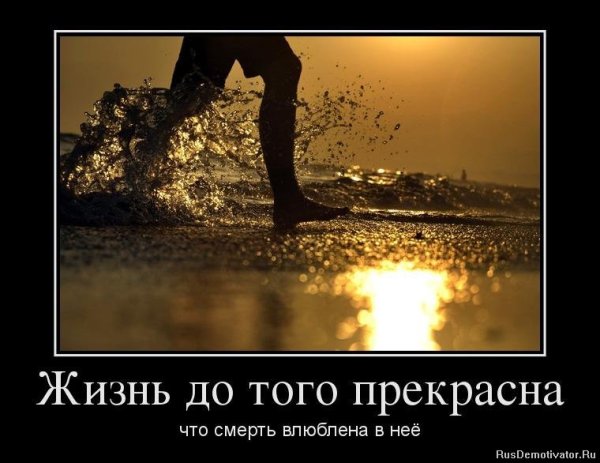 Демотиваторы жизненные