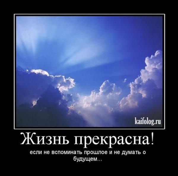 Жизнь прекрасна демотиваторы