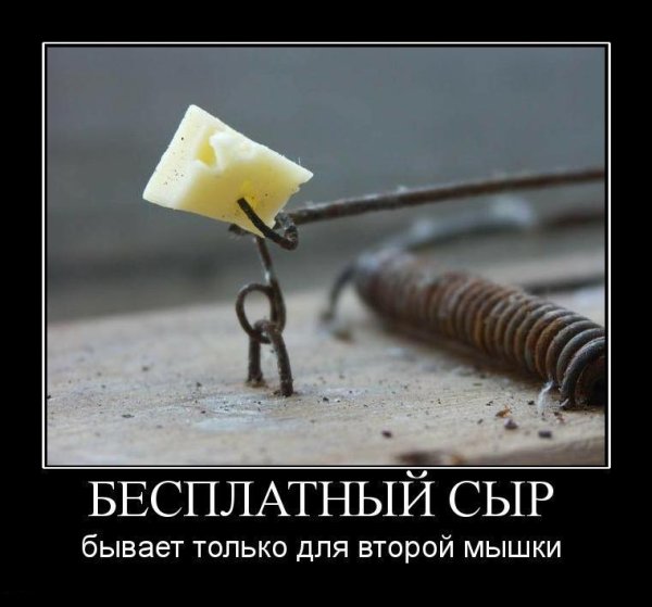 Приколы со смыслом