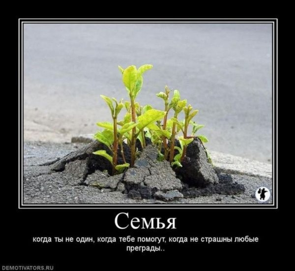 Росток сквозь асфальт