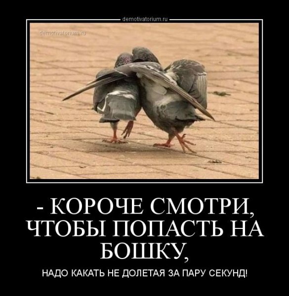 Демотиваторы смешные
