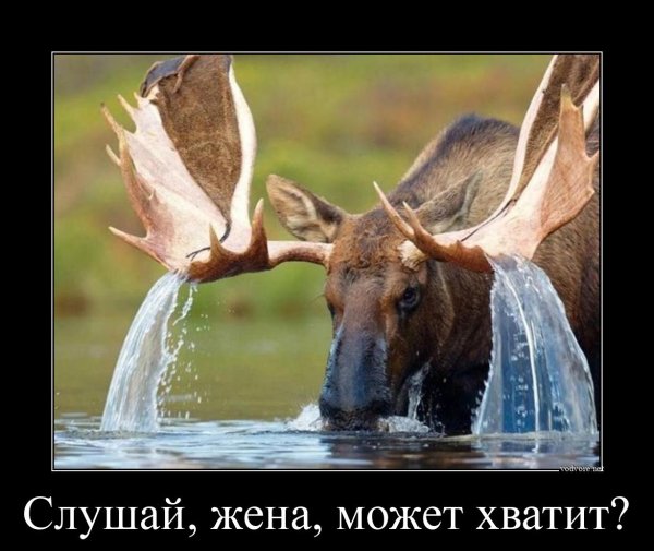 Прикольные демотиваторы