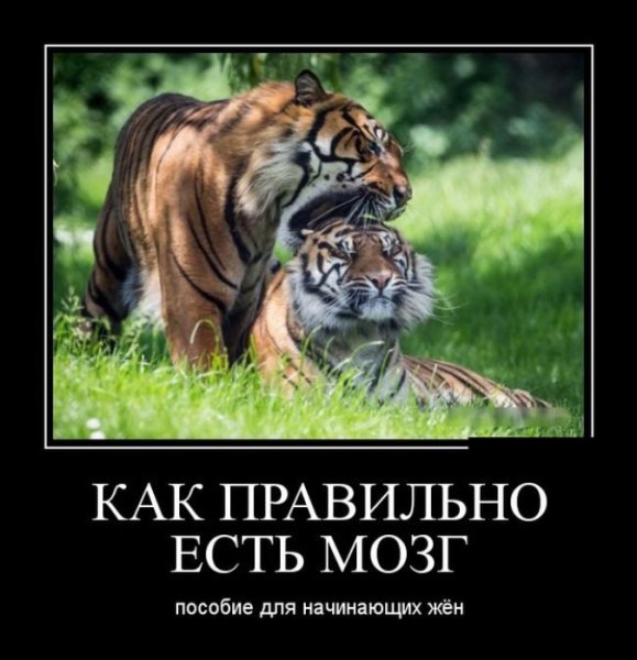 Прикольные демотиваторы