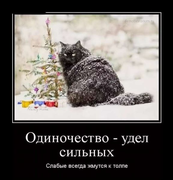 Приколы про одиночество