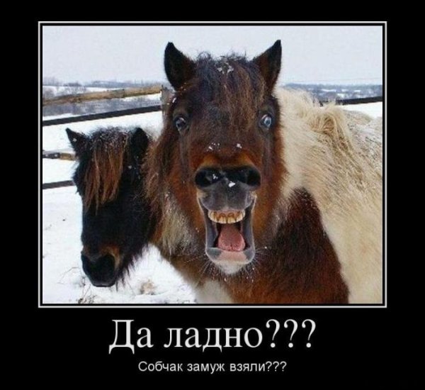 Демотиваторы смех