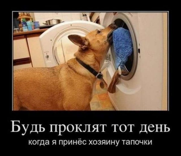 Веселые демотиваторы