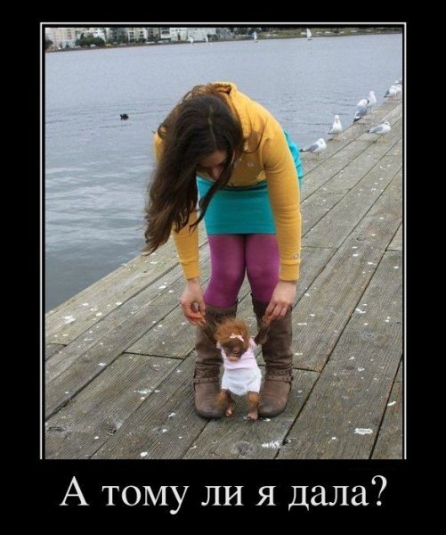 Весёлые картинки демотиваторы