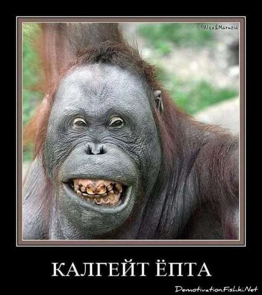 Демотиваторы ржачные