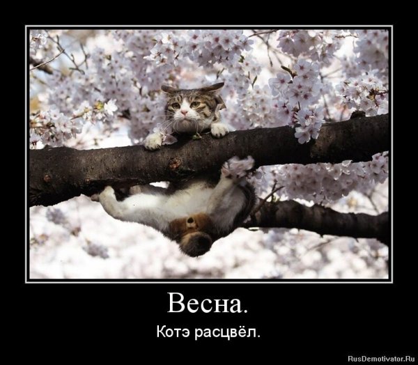Приколы про весну