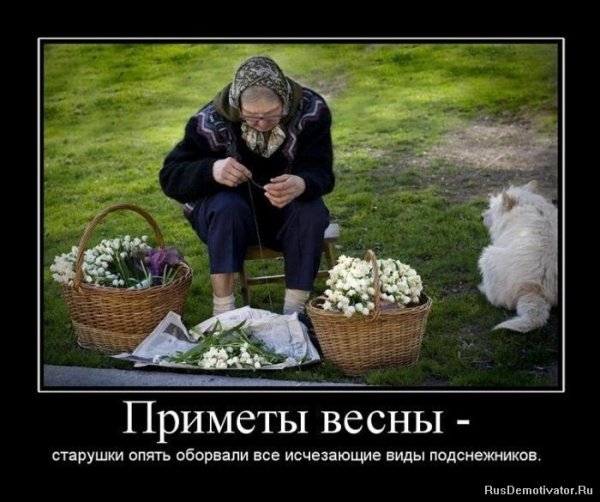 Весна пришла приколы