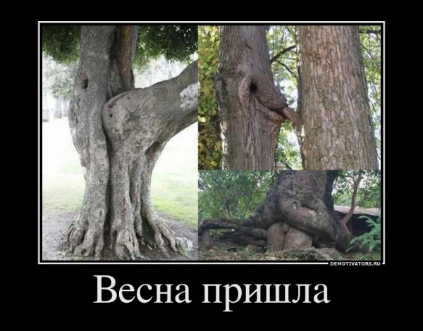 Первый день весны демотиваторы