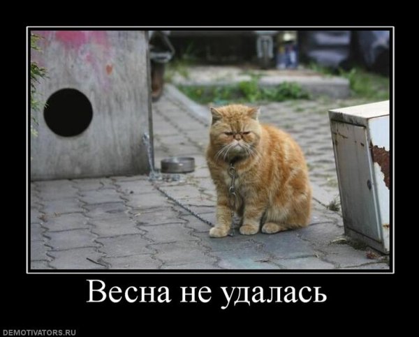 Приколы про весну