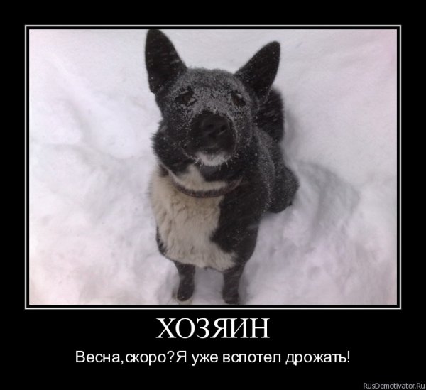 Первый день весны прикол