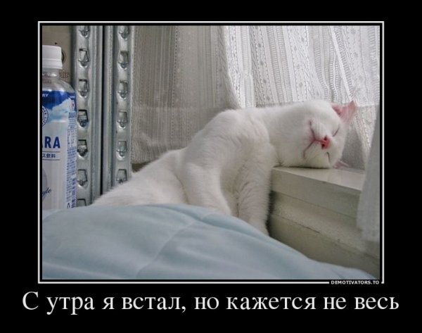 Демотиваторы с добрым утром