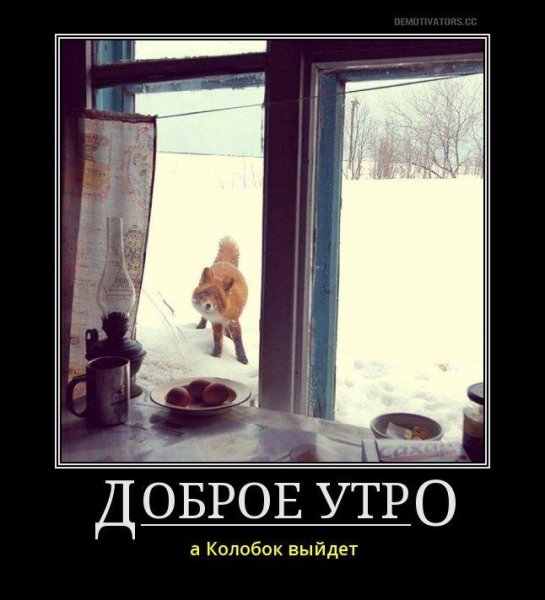 Демотиваторы с добрым утром