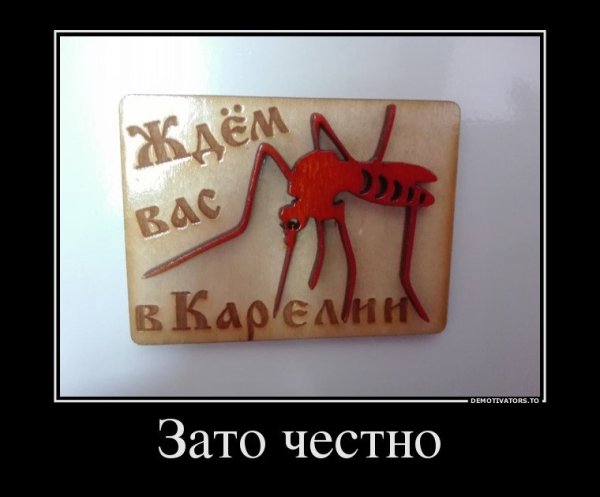 Кайфолог жесткие демотиваторы