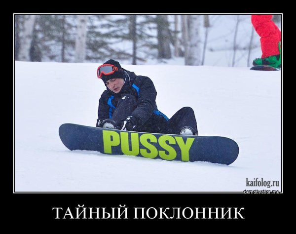 Кайфолог демотиваторы Веселые