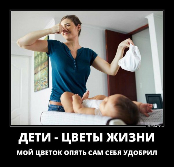 Кайфолог демотиваторы Веселые