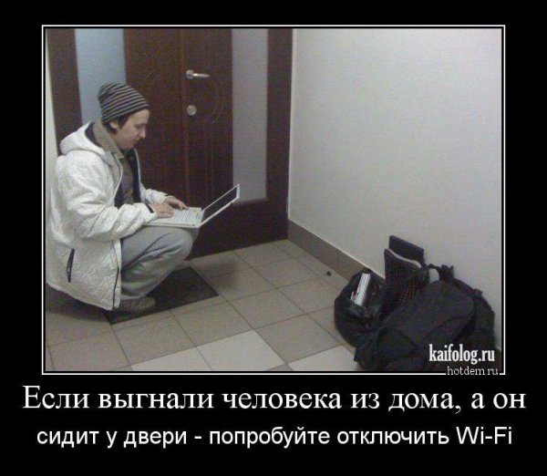 Кайфолог нет Главная юмор