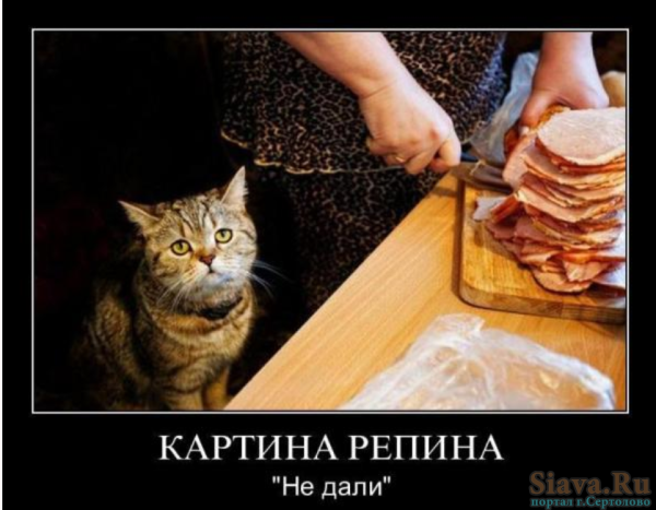 Страшную весть принёс я в твой дом Надежда