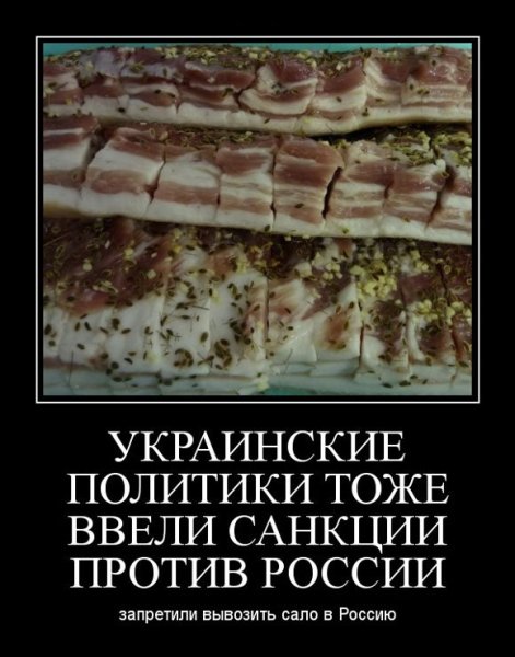 Ответ России на санкции